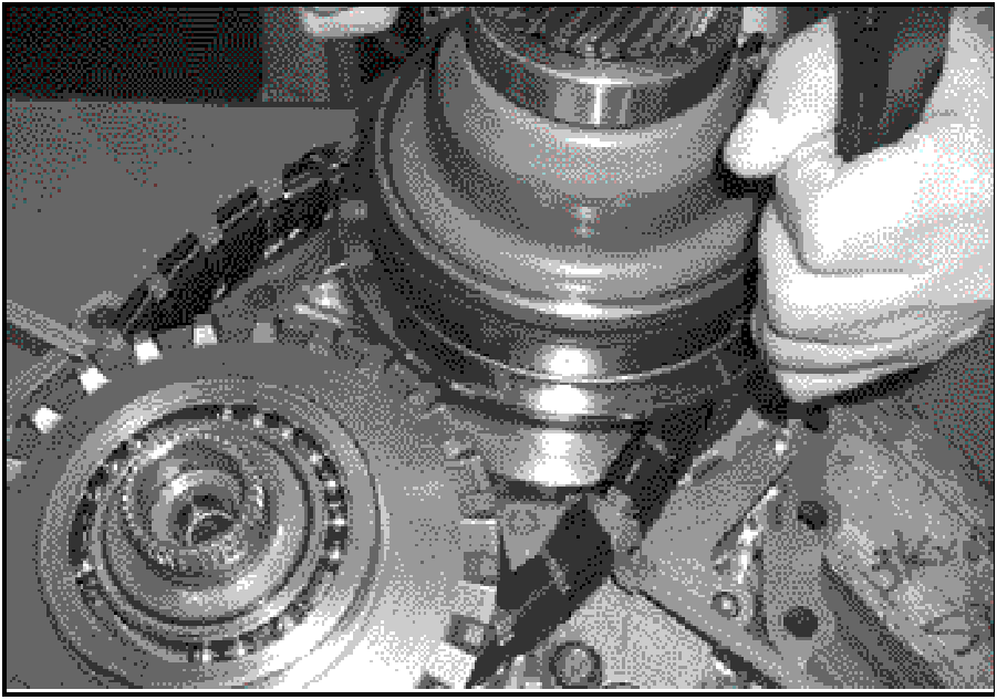 520065657_graphic-text24B